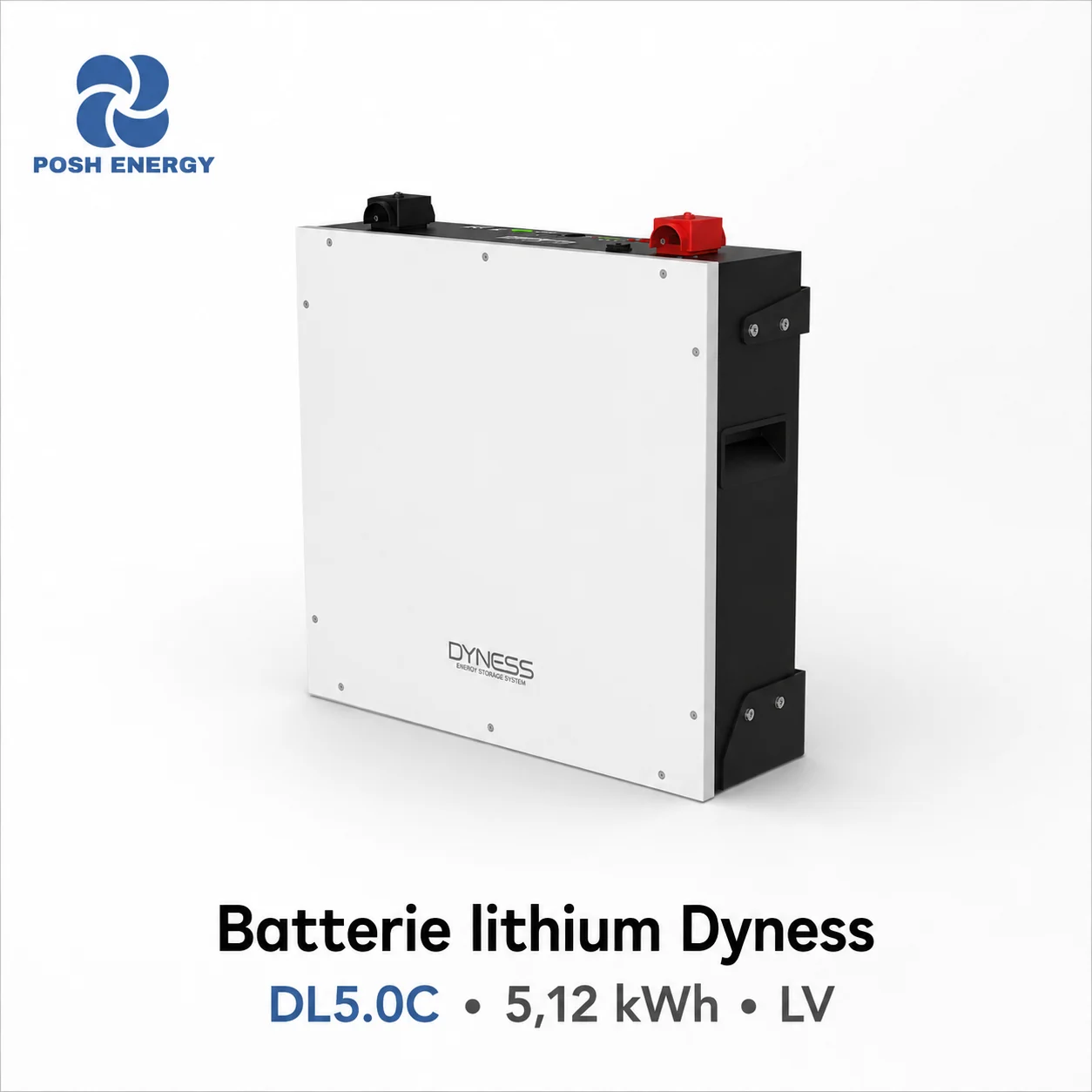 Batterie lithium Dyness DL5.0C 5,12 kWh LV