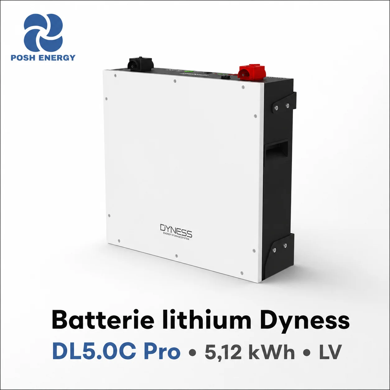 Batterie lithium Dyness DL5.0C Pro 5,12 kWh LV