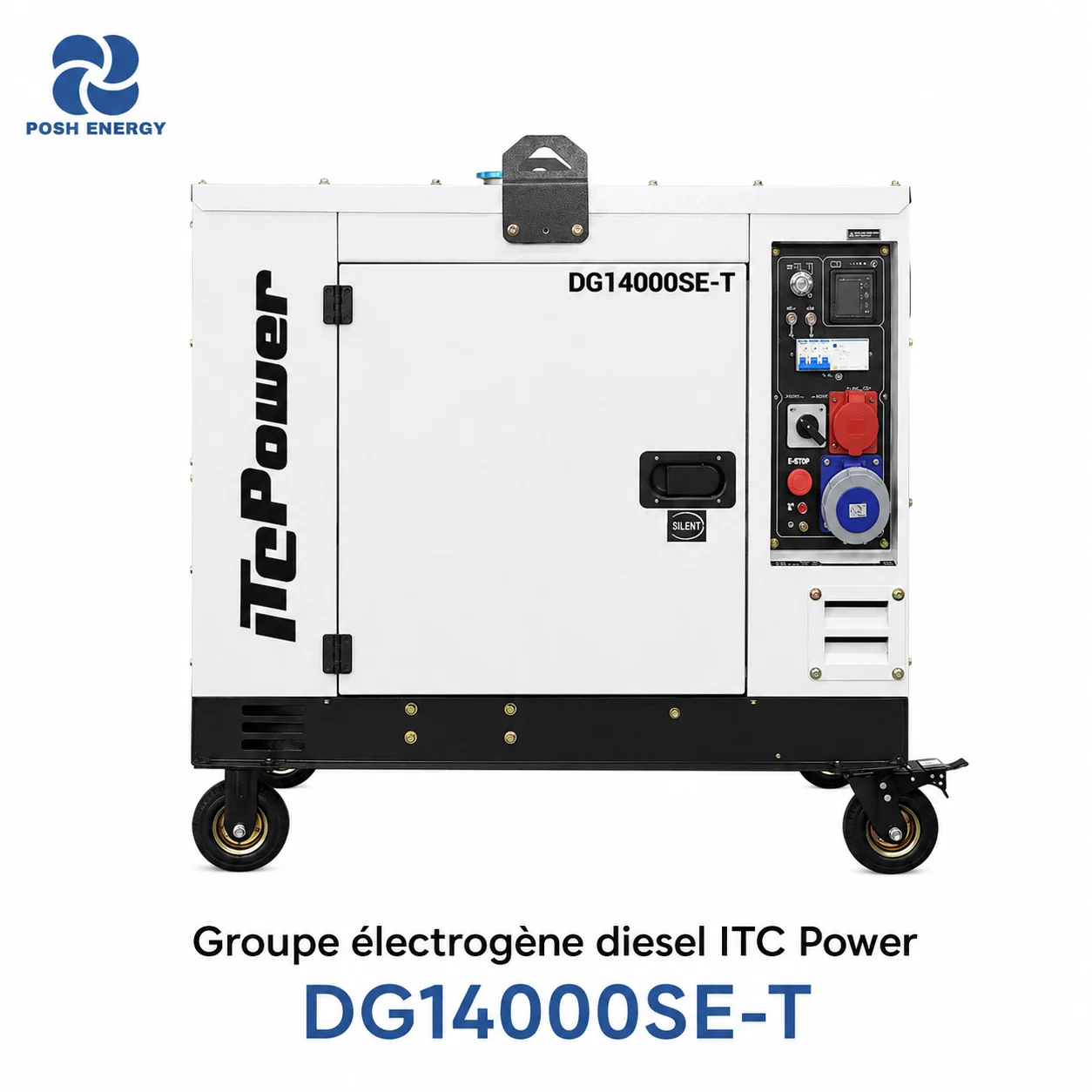 Groupe électrogène diesel ITC Power DG14000SE-T