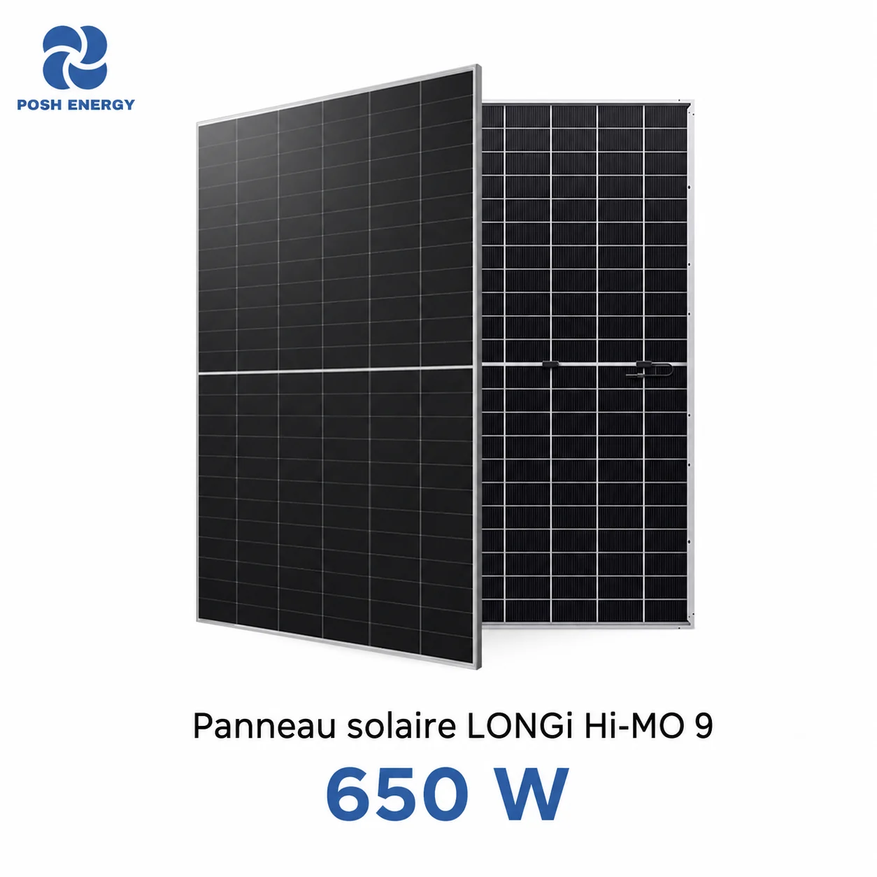 Panneau solaire LONGi Hi-MO 9 650 W